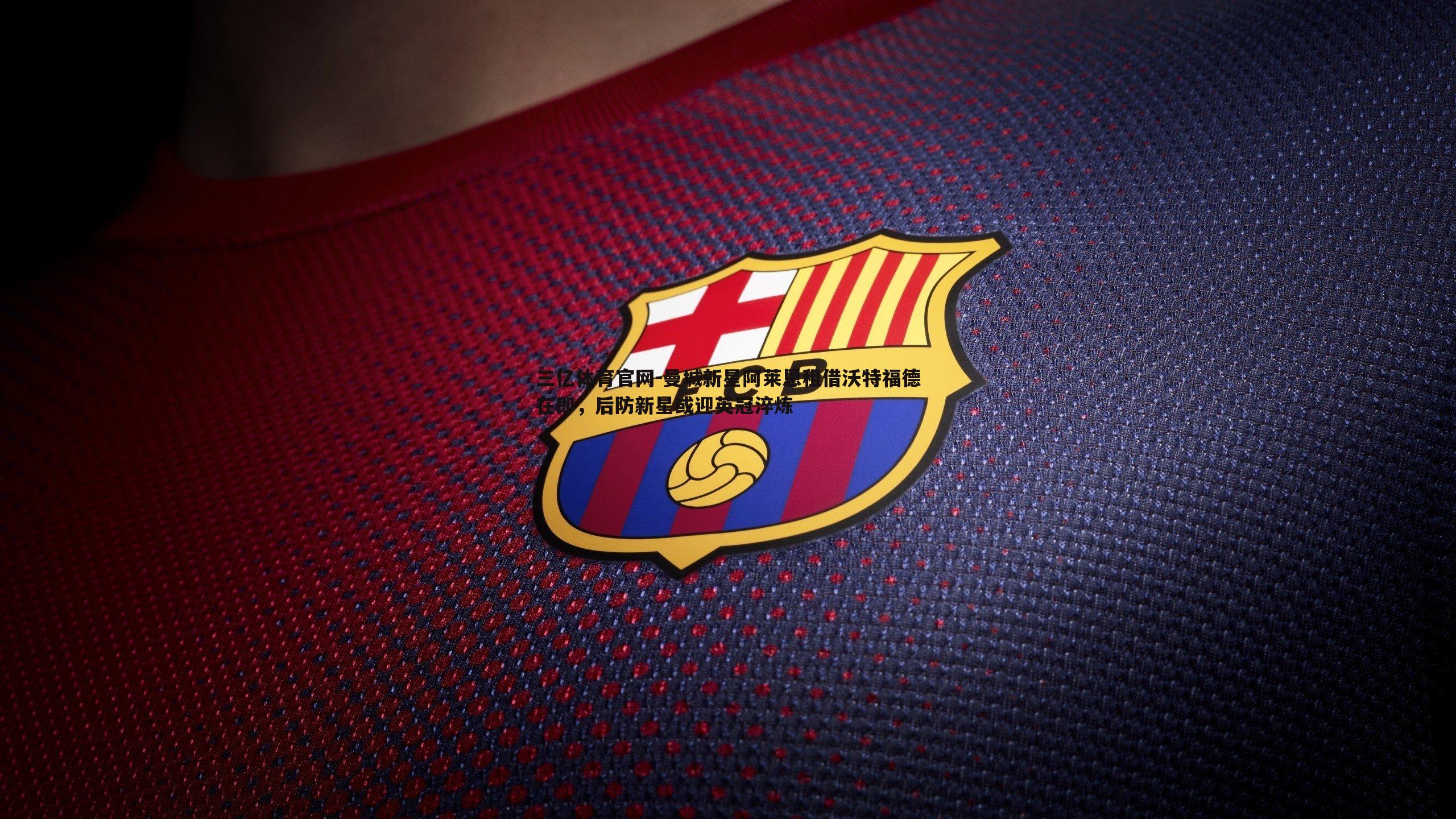 曼城新星阿莱恩租借沃特福德在即,后防新星或迎英冠淬炼